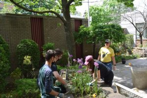 people working in the plant garden