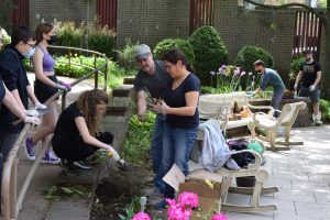 people digging in plant garden near chairs