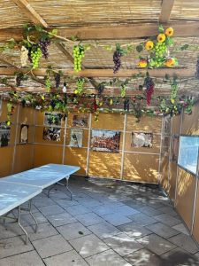 Sukkot at Margaret Tietz